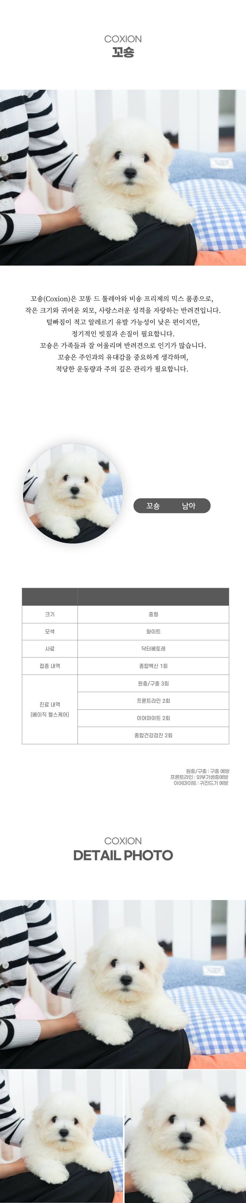꼬숑_상세이미지_2